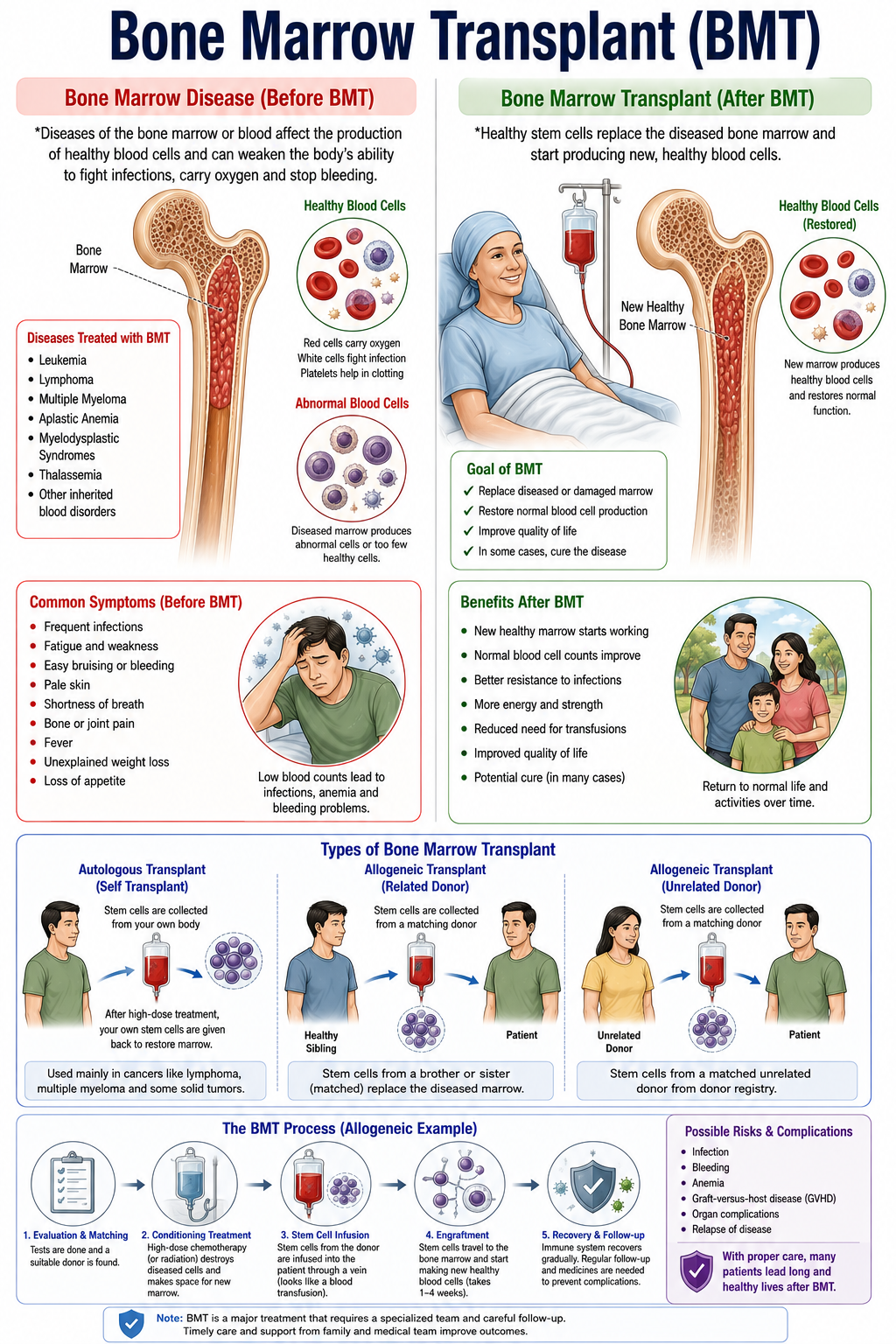 Bone Marrow Transplant (BMT) — anatomy diagram